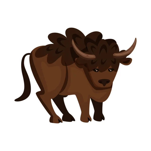 Objet isolé de bison et symbole de buffle. Jeu d'illustration vectorielle de bison et de stock sauvage . — Image vectorielle