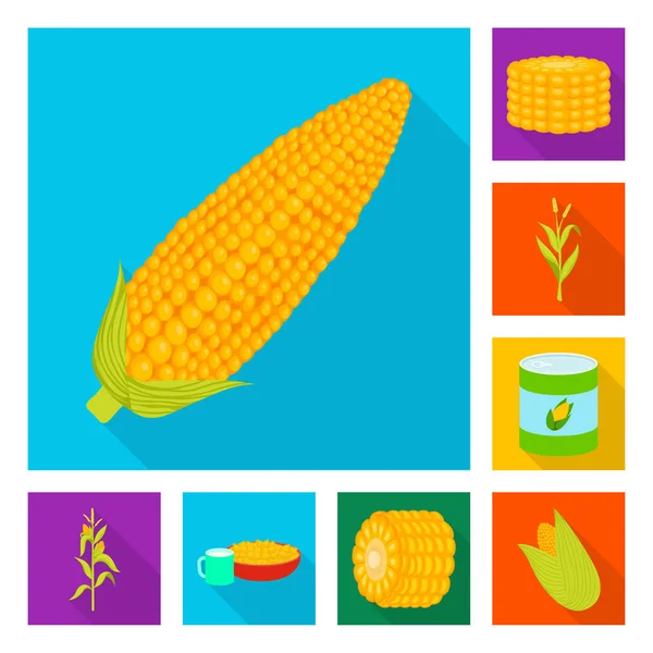 Illustrazione vettoriale di campo di grano e cartello vegetale. Raccolta di campi di grano e stock simbolo vegetariano per il web . — Vettoriale Stock