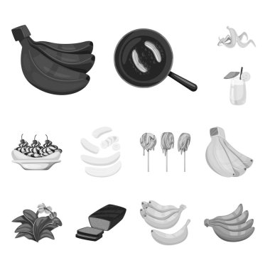 Taze ve diyet işareti vektör tasarımı. Taze ve vejetaryen stok vektör illüstrasyon koleksiyonu.