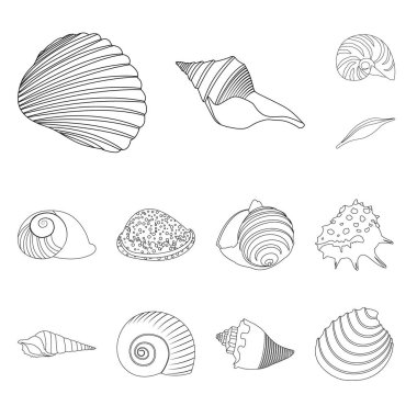 Egzotik ve deniz ürünleri simgesinin vektör Illustration. Stok için egzotik ve su vektör simgesi koleksiyonu.
