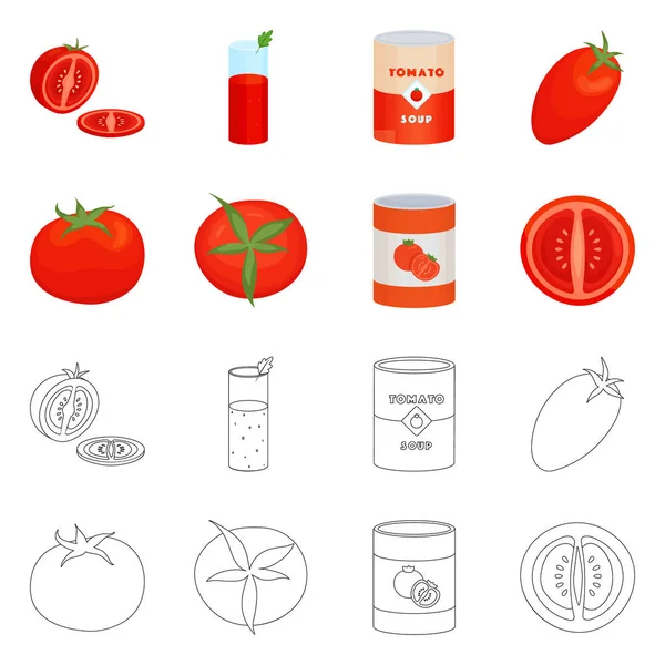 Vector ontwerp van groente en heerlijk logo. Verzameling van plantaardige en natuurlijke voorraad vector illustratie. — Stockvector