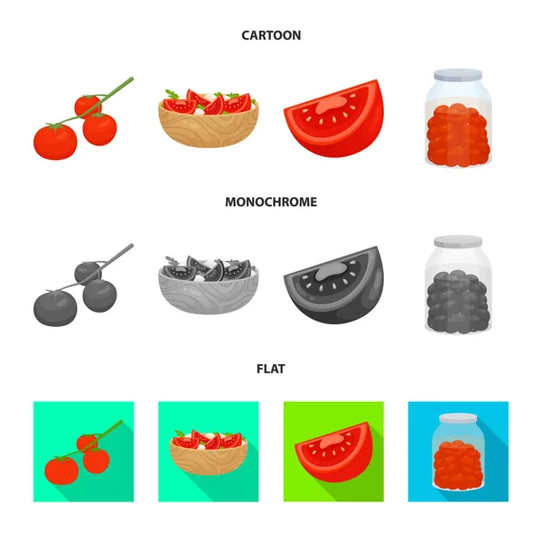 Diseño vectorial de vegetales y delicioso icono. Conjunto de ilustración de vectores vegetales y naturales . — Vector de stock