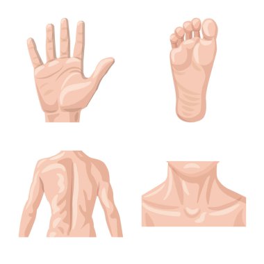 İnsan ve yarım simge vektör Illustration. İnsan ve kadın hisse senedi simgesi için web topluluğu.