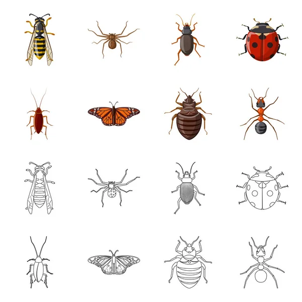 Diseño vectorial del símbolo de insectos y moscas. Conjunto de insecto y elemento símbolo de stock para web . — Archivo Imágenes Vectoriales