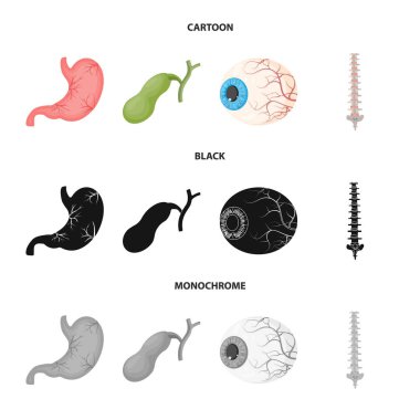 Vücut ve insan simge vektör tasarımı. Vücut ve tıbbi hisse senedi vektör çizim koleksiyonu.