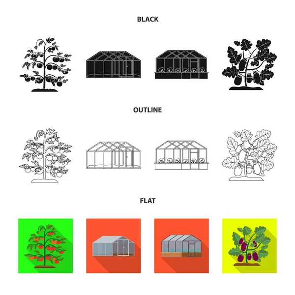 Ilustracja wektorowa roślin cieplarnianych i logo. Kolekcja cieplarnianych i ogród Stockowa ilustracja wektorowa. — Wektor stockowy