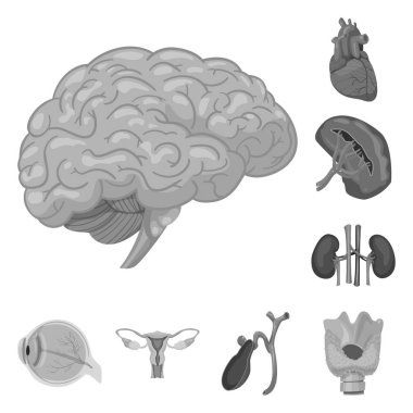 Vücut ve insan logo yalıtılmış nesne. Vücut ve web için tıbbi hisse senedi simgesi.