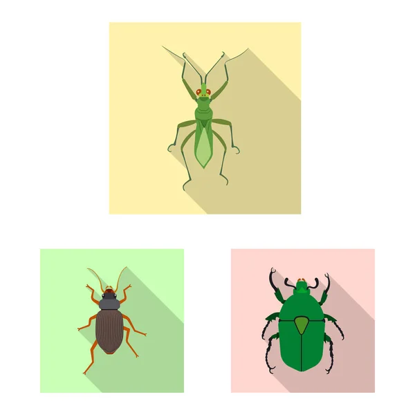 Objeto aislado de insecto y mosca símbolo. Colección de insectos y elemento vector icono para stock . — Vector de stock