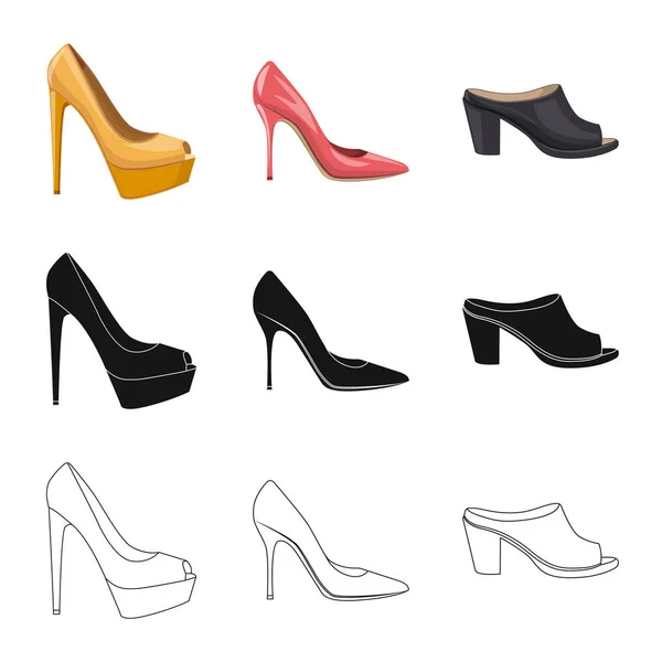 Ilustración vectorial de calzado y símbolo de mujer. Colección de calzado y pie vector icono para stock . — Vector de stock