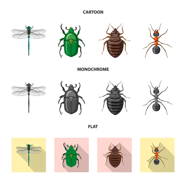 Векторная иллюстрация символа насекомого и мухи. Набор векторных иллюстраций насекомых и элементов . — стоковый вектор