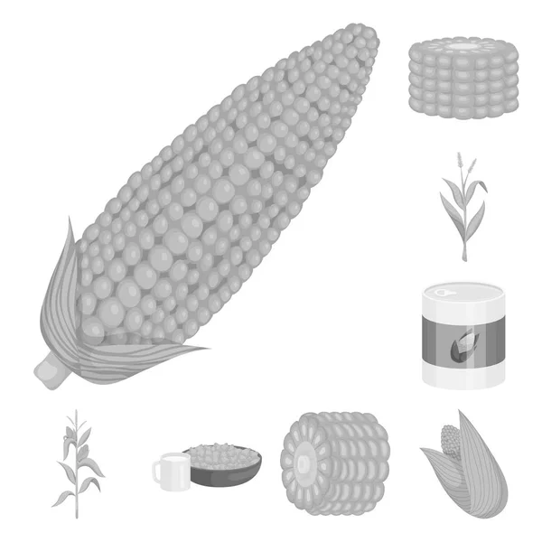 Oggetto isolato di agricoltura e nutrizione icona. Serie di illustrazione vettoriale agricoltura e brodo vegetale . — Vettoriale Stock