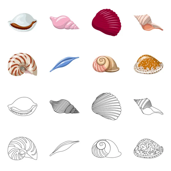 Isolerade objekt av kännetecken som är djur- och dekoration. Uppsättning av djur- och ocean vektor ikonen för lager. — Stock vektor