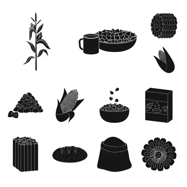 Vector illustratie van organische en vegetarische pictogram. Collectie organische en Food Stock symbool voor web. — Stockvector