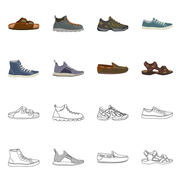 Oggetto isolato di scarpa e segno calzature. Set di scarpe e piedi stock vettoriale illustrazione . — Vettoriale Stock