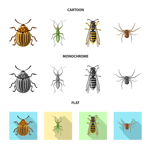 Векторная иллюстрация логотипа насекомого и мухи. Набор символов запаса насекомых и элементов для паутины . — стоковый вектор