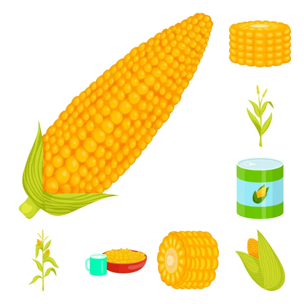 Vektor ilustrasi jagung dan tanda makanan. Mengumpulkan gambar vektor saham jagung dan tanaman . - Stok Vektor