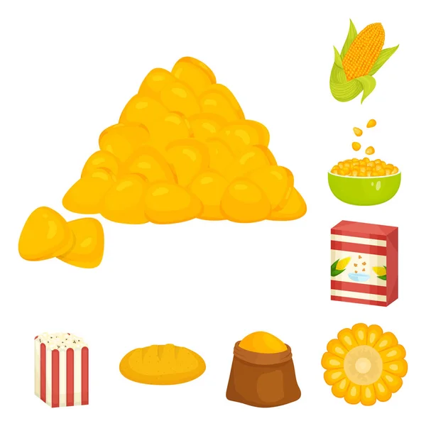 Vector design of maize and food sign. Set of maize and crop vector icon for stock. — Stock Vector
