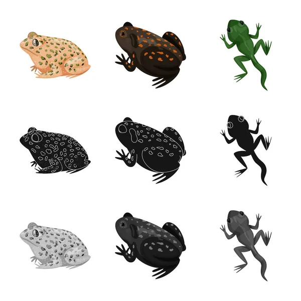 野生动物和沼泽标志的矢量设计。野生动物和爬行动物种群载体插图的收集. — 图库矢量图片