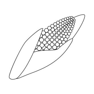 Mısır ve gdo logosu vektör illüstrasyon. Web için mısır ve tohum stok sembolü toplama.