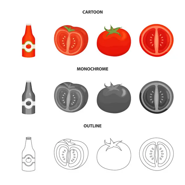 Vektordesign von Gemüse und köstlichen Symbolen. Set von pflanzlichen und natürlichen Aktiensymbolen für das Netz. — Stockvektor