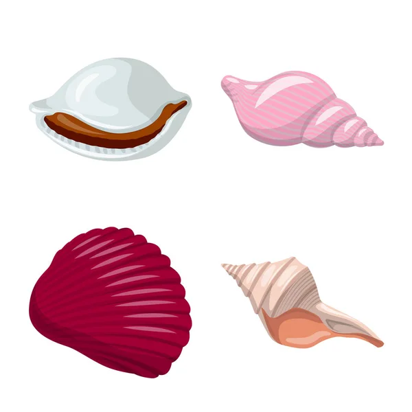 Isolated object of seashell and mollusk symbol. Set of seashell and seafood  vector icon for stock. — Stock Vector