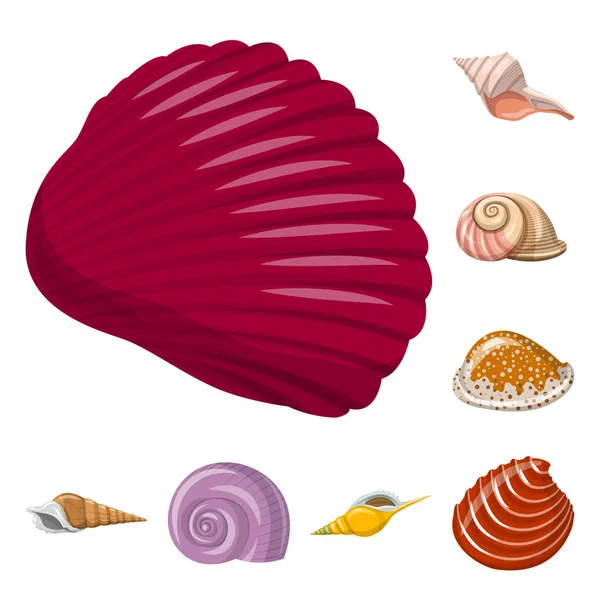 Objeto aislado de concha marina y símbolo de molusco. Conjunto de concha marina y mariscos símbolo de stock para la web . — Archivo Imágenes Vectoriales