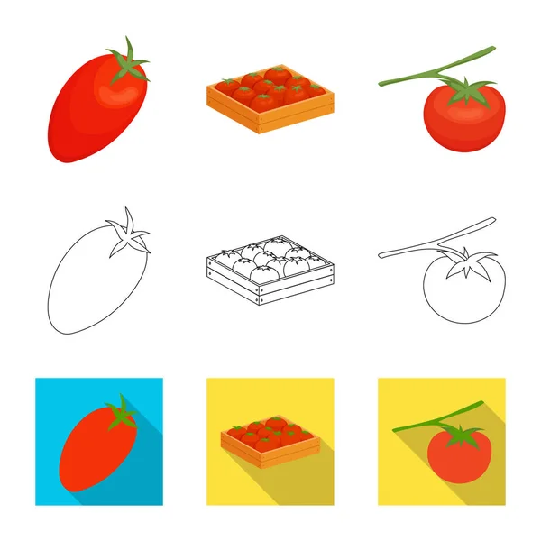 Illustration vectorielle de légumes et signe délicieux. Ensemble d'icône vectorielle végétale et naturelle pour stock . — Image vectorielle