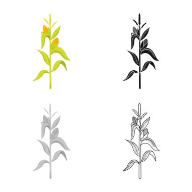 Mısır ve sap logosu izole nesne. Web için mısır ve tarla stok sembolü seti.