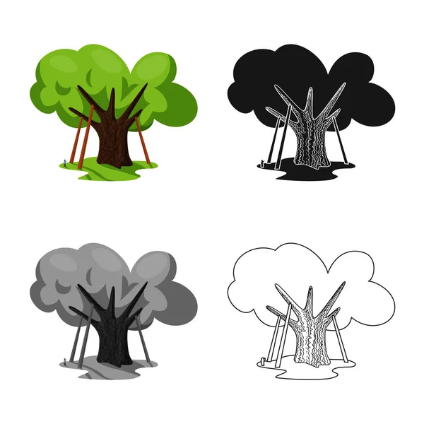 Diseño vectorial de roble y árbol símbolo. Colección de roble y bosque símbolo de stock para la web . — Archivo Imágenes Vectoriales