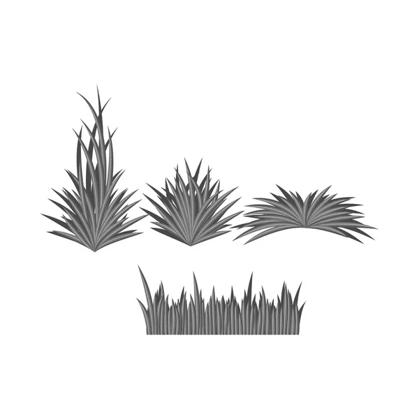 Diseño vectorial de hierba y arbusto icono. Conjunto de hierba y jardín icono de vector para la acción . — Vector de stock