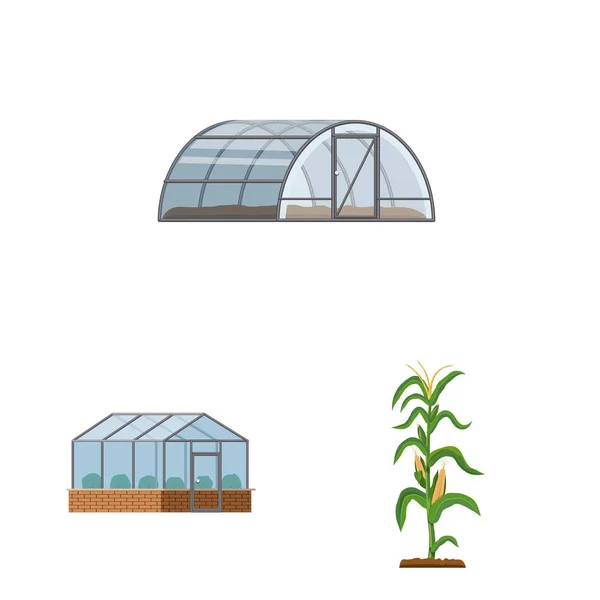 Wektor projektowania znaku cieplarnianych i roślin. Zestaw cieplarnianych i ogród Stockowa ilustracja wektorowa. — Wektor stockowy