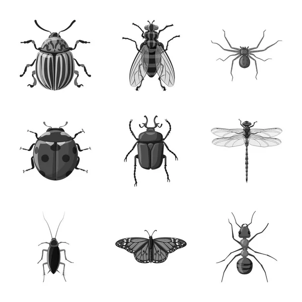 昆虫とフライのシンボルのベクター デザイン。Web 昆虫と要素株式記号のセット. — ストックベクタ