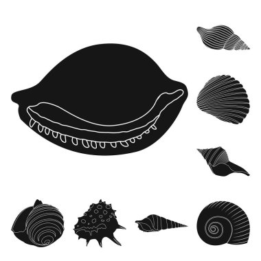 Doğanın izole nesnesi ve okyanus işareti. Web için doğa ve yumuşakça stok sembolü seti.