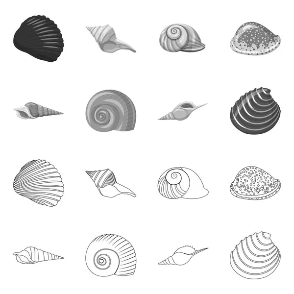 Vektor design av djur och dekoration symbol. Samling av djur- och ocean aktiesymbol för webben. — Stock vektor