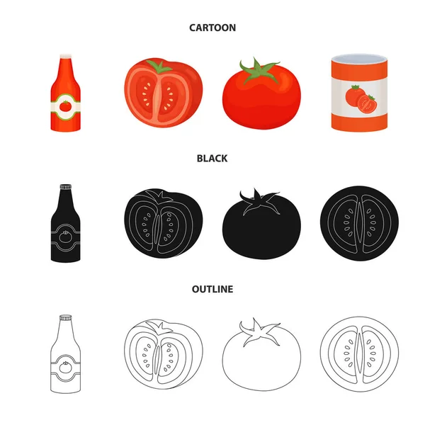 Vector illustratie van groente en heerlijk icoon. Set van plantaardige en natuurlijke voorraad symbool voor web. — Stockvector