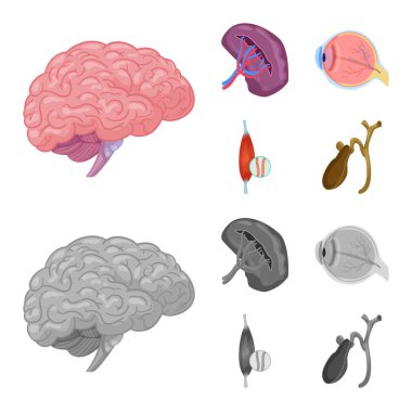 Vücut ve insan logo vektör çizimi. Vücut ve hisse senedi için tıbbi vektör ikon koleksiyonu.