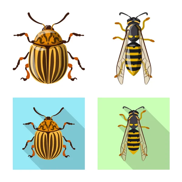 Illustrazione vettoriale del logo di insetti e mosche. Raccolta di insetti ed elementi stock symbol per il web . — Vettoriale Stock