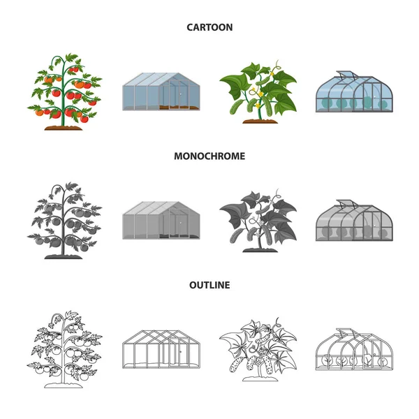 Wektor ilustracja znak cieplarnianych i roślin. Zestaw cieplarnianych i ogród wektor ikona na magazynie. — Wektor stockowy