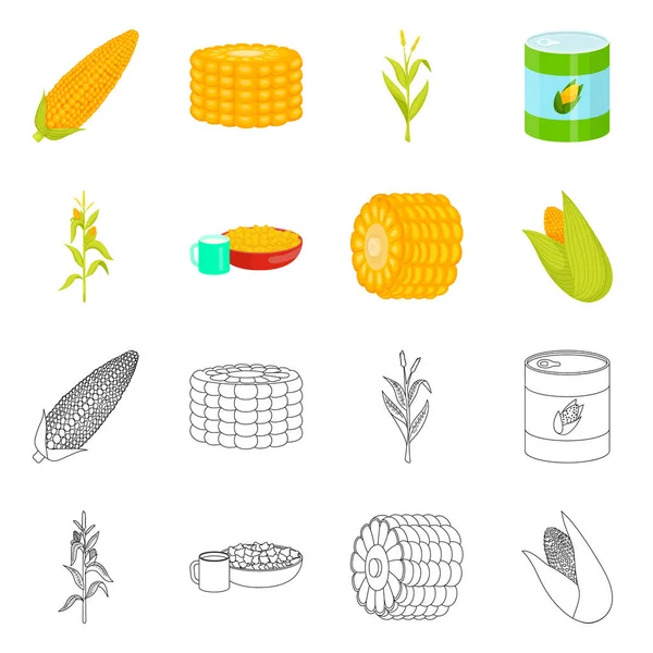Diseño vectorial de maizal y logotipo vegetal. Conjunto de maizal y símbolo de stock vegetariano para web . — Vector de stock