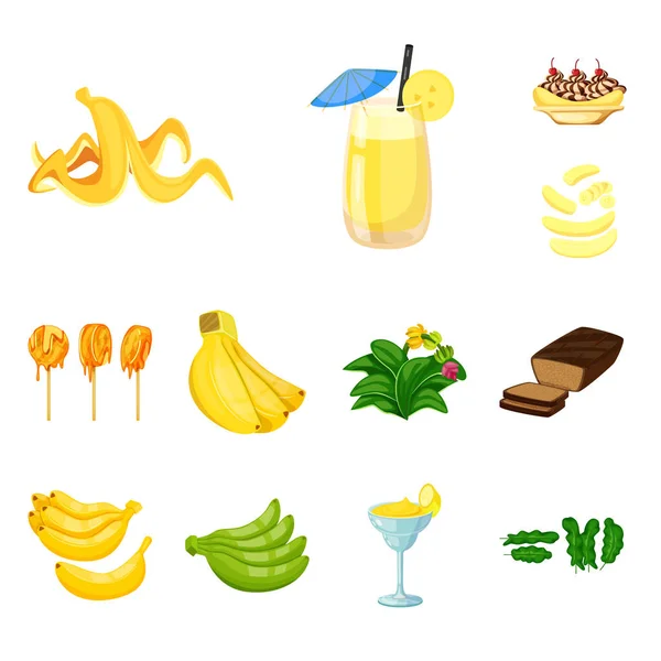 Conception vectorielle de l'icône tropicale et mûre. Ensemble de symbole de stock tropical et potassique pour la toile . — Image vectorielle