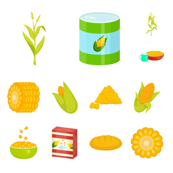 Illustrazione vettoriale di granturco e icona alimentare. Raccolta di illustrazione vettoriale del mais e delle scorte vegetali . — Vettoriale Stock