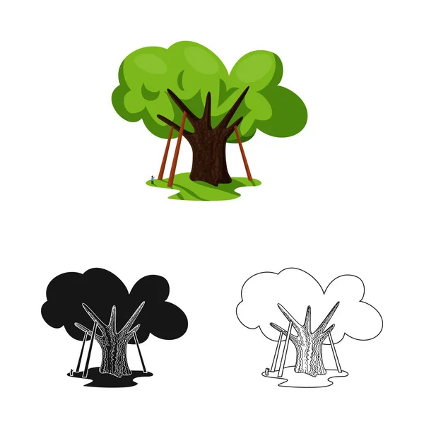 Diseño vectorial de roble y árbol icono. Conjunto de iconos vectoriales de roble y bosque para stock . — Archivo Imágenes Vectoriales
