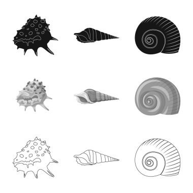 Hayvan ve dekorasyon simgesi yalıtılmış nesne. Hisse senedi için hayvan ve okyanus vektör simge kümesi.