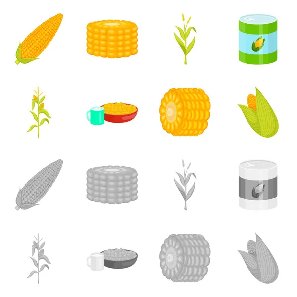 Mısır tarlası ve sebze simge vektör Illustration. Mısır tarlası ve vejetaryen hisse senedi simgesi web için kümesi. — Stok Vektör