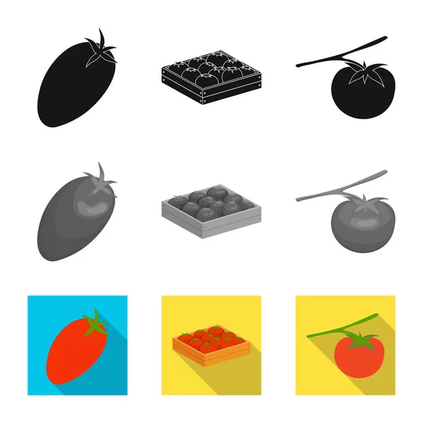 Απεικόνιση διανύσματος λαχανικών και γευστικότατη πινακίδα. Σετ εικονογράφησης φυτικών και φυσικών αποθεμάτων. — Διανυσματικό Αρχείο