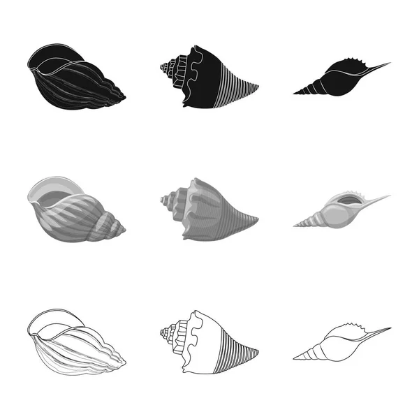 Isolerade objekt av ikonen djur och dekoration. Samling av djur- och ocean aktiesymbol för webben. — Stock vektor