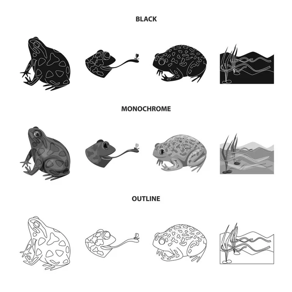 Conception vectorielle de la faune et des tourbières. Collection d'icônes vectorielles de la faune et des reptiles pour le stock . — Image vectorielle