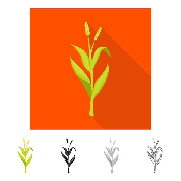 Ilustración vectorial de signo dulce y maíz. Colección de símbolo de stock dulce y botánico para web . — Archivo Imágenes Vectoriales