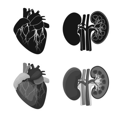 Vücut ve insan işareti vektör tasarımı. Vücut ve web için tıbbi hisse senedi simgesi.