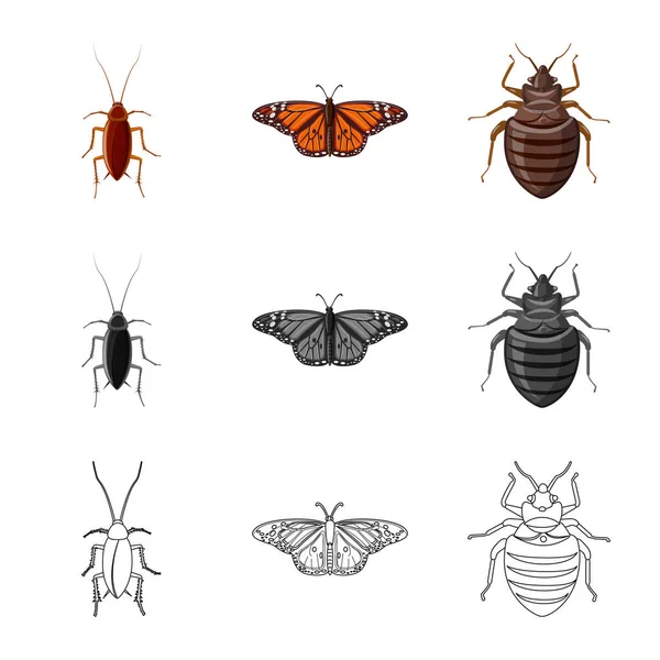 Izolovaný objekt hmyzu a překrýt symbolu. Sada hmyzu a prvek vektorové ikony pro stock. — Stockový vektor